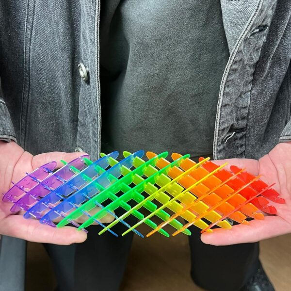 Rainbow Colors Worm Fidget Toy Sensory Stress Anxiety Relief Toys for Adults and Children