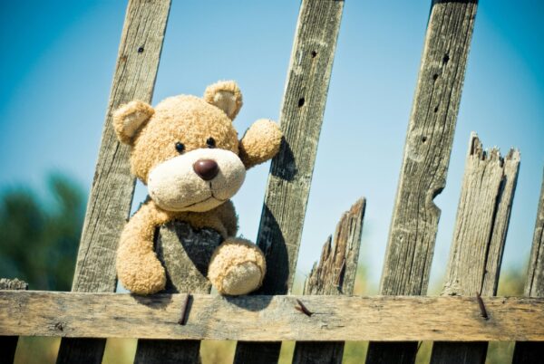 Teddy bear jumping over a wooden fence under the sky, symbolizing playful childhood moments with outdoor toys in Pakistan
