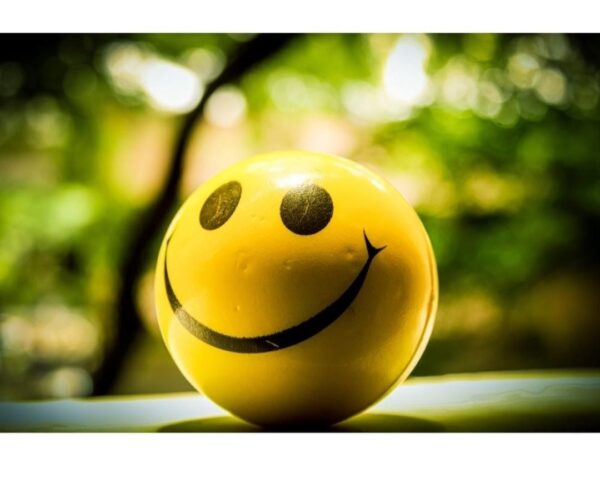 SN-455 Smart Care Hand Exercise Ball Phisioball Smile Balls Stress Relief Balls Kids Toys