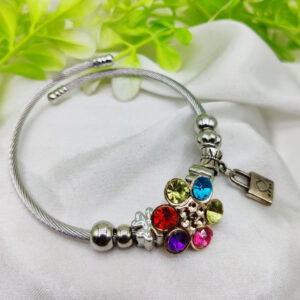 1 Piece Imported Elegant Multicolor Stone Charm Pandora Bracelet | Best Quality Bracelet For Girls & Women