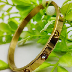 Adjustable Cartier Heart Charm Bracelet – Imported Luxury  Bracelet | Best Quality Artificial Bracelet For Girls & Women | Bracelet For Every Occasion | Elegant Design ✨