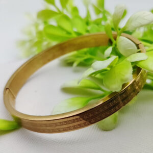 Adjustable Cartier Heart Charm Bracelet – Imported Luxury Gold Bracelet | Best Quality Artificial Bracelet For Girls & Women | Bracelet For Every Occasion | Elegant Design ✨