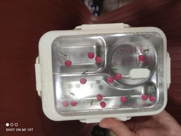 Rectangular Lunchbox with a clear lid | Lunch Box for Children, Kids and Adult | Portable Picnic Storage | School Student Food Container