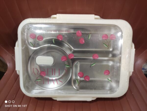 Rectangular Lunchbox with a clear lid | Lunch Box for Children, Kids and Adult | Portable Picnic Storage | School Student Food Container